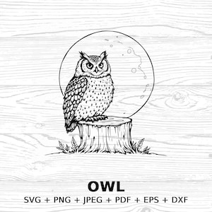 Owl moon Clipart Digital Download, SVG PNG JPEG pdf eps dxf Files, Owl Design, Woodland Forest Animal Art, Commercial license