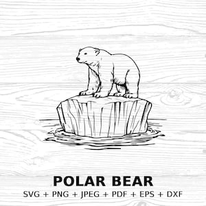 Polar Bear Digital Illustration Clipart Bundle for Download SVG PNG JPEG pdf eps dxf, Polar Bear Image Instant Download, Commercial license