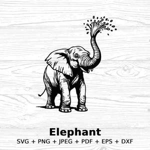 Elephant digital download, elephant spraying water clipart, instant download, svg png jpeg pdf eps dxf files, diy elephant vector art crafts