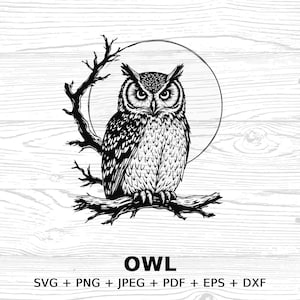 Owl moon Clipart Digital Download, SVG PNG JPEG pdf eps dxf Files, Owl Design, Woodland Forest Animal Art, Commercial license