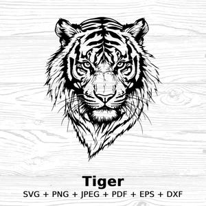 Fierce Tiger Vector Clipart Digital Download, Wildlife Digital Art, Tiger Illustration, DIY Printable Wall Art, SVG PNG Jpeg Eps Dxf Files