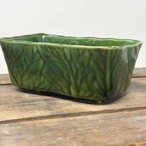 Maceta vintage con textura de hojas verdes