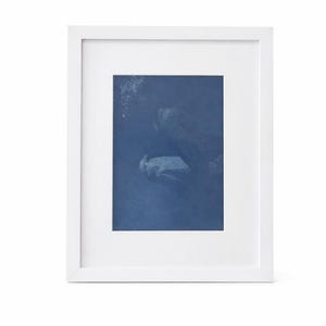 May include: A framed artwork featuring a cyanotype print. The artwork is encased in a white frame, with a white matting. The cyanotype print depicts an abstract image with shades of blue and white.