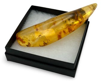 Insektengefüllter kolumbianischer Goldener Copal-Bernstein - 53 g, 5 Zoll natürliches Harz mit Einschlüssen