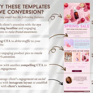 May include: A digital marketing email template infographic featuring text explaining conversion strategies alongside a visual breakdown of email sections including a spring sale header, product blocks, and a customer testimonial footer block.