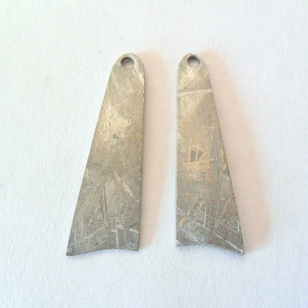 Gibeon Iron Meteorite Drilled Slices Freeform Findings Pair