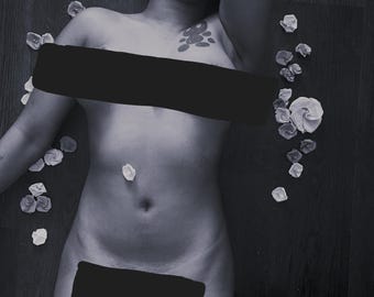 Mature Content BW Female Boudoir Photography_Model Covered in Paper Roses_Nature-Themed_Indoor Decor