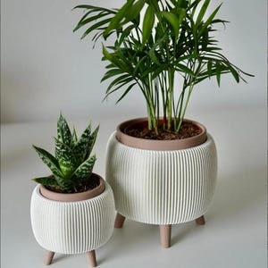 May include: Two white ribbed planters with plants. The planters have a light brown rim and are supported by three short, light brown legs. One planter holds a green and white succulent, and the other holds a taller green plant.