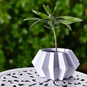 May include: A white, geometric-shaped planter with a small green plant. The planter has a faceted design and sits on a decorative, white table. The plant has long, green leaves and a slender brown stem. The background is a blurred green.