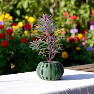 Minimalist &quot;Terra&quot; Planter with Drainage Tray & Stand, 3D Printed Planter Pot, Unique Indoor Plant Decor, Eco-Friendly Gift for Plant Lovers