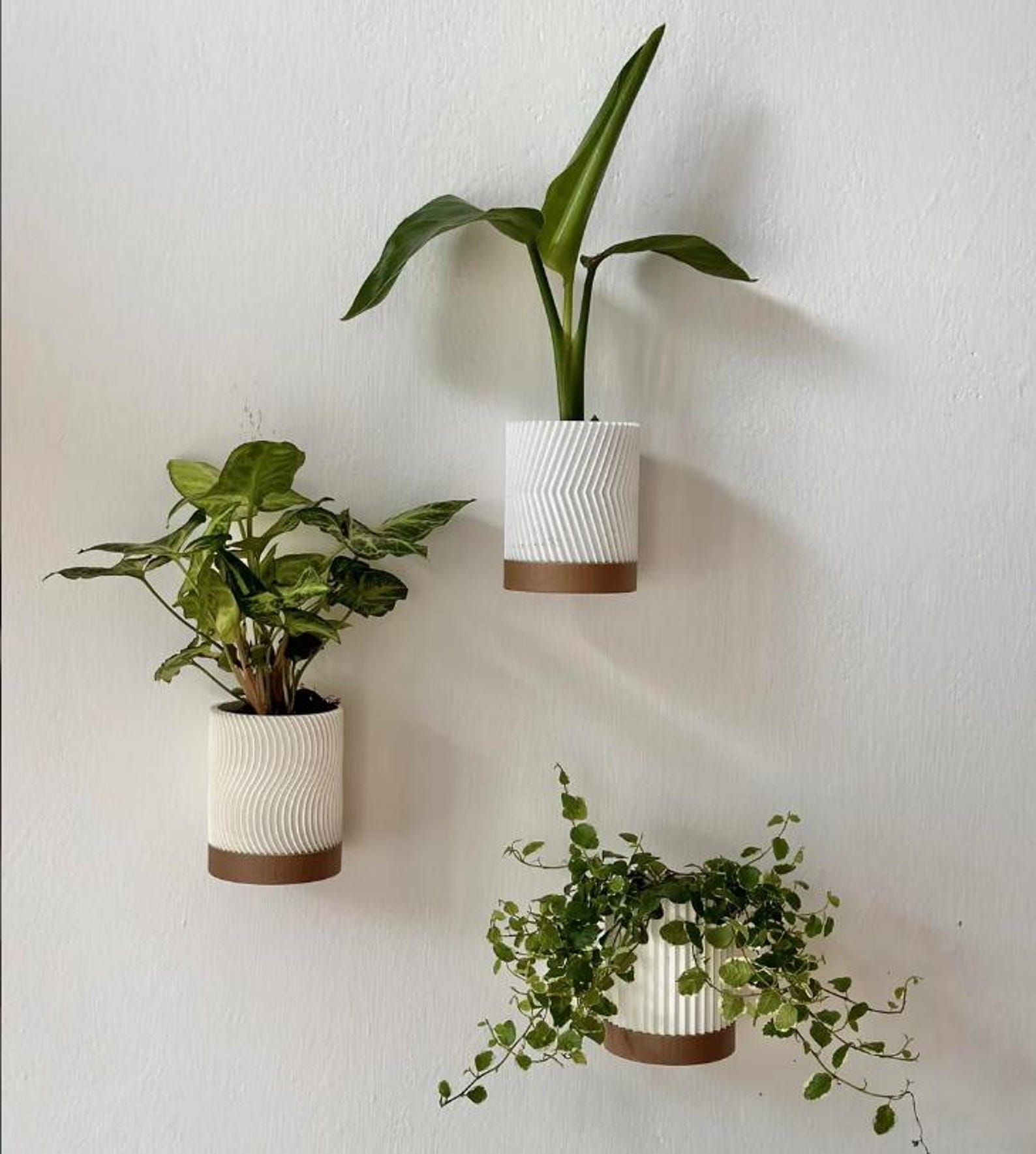 Modern Jumbo wall mount Planter Pot set of 3 - White, Earth Brown