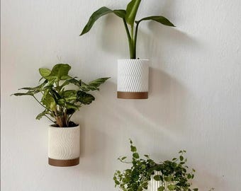 May include: Three wall-mounted planters with greenery. The planters are white with a textured design and a brown base. The plants include a bird of paradise, a leafy plant, and a trailing vine. The planters are mounted on a white wall.