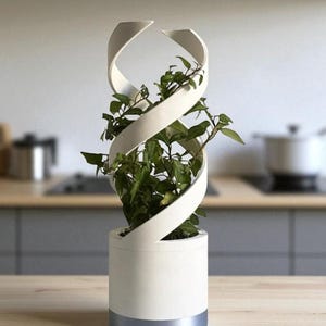 May include: A modern white planter with a spiral design, holding a vibrant green plant. The planter has a cylindrical base with a silver band at the bottom. The spiral element curves around the plant, creating a unique aesthetic.