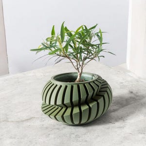 Minimalist &quot;Veyra&quot; Planter with Drainage Tray & Stand 3D Printed Planter Pot, Unique Indoor Plant Decor | Eco-Friendly Gift for Plant Lovers