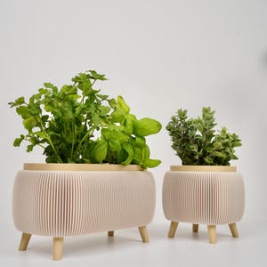 May include: Two beige, ribbed planters with light wood legs and rims, each holding green herbs. The planter on the left has a larger volume of herbs. The planters are on a white surface.