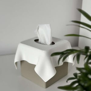 Modern &quot;Sneezy&quot; 3D Printed Tissue Box Cover