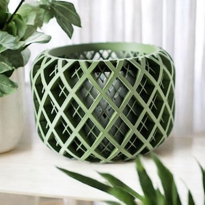 Modern &quot;Orchid Kiss&quot; 3D Printed Orchid Planter with Drainage Tray