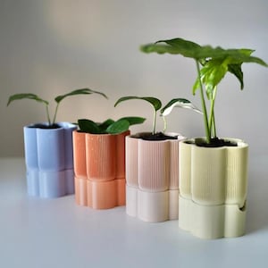 May include: Four colorful, fluted planters with green plants. The planters are in shades of blue, orange, pink, and yellow. Each planter has a scalloped base and a cylindrical top. The plants have large, green leaves.