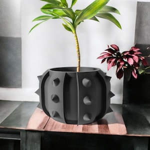 Modern &quot;Drako&quot; Planter w/Drip Tray & Stand 3D Printed Planter Pot