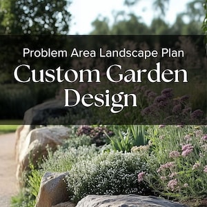 Personalized Garden Design Plan: Single Area Landscape Layout - Up to 500SF