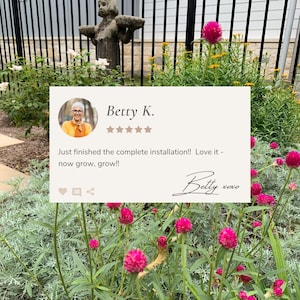 Detailed view of garden layout.