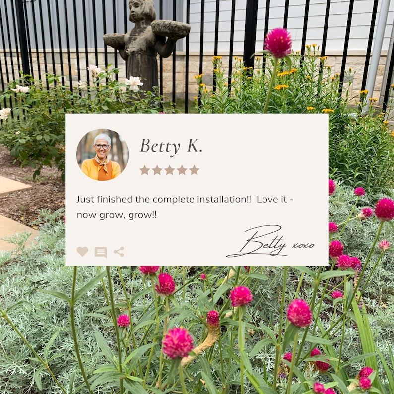 Detailed view of garden layout.