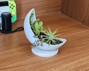 Maceta de luna creciente - Maceta impresa en 3D - Diseño minimalista único para suculentas y plantas pequeñas