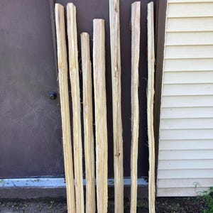 Shag bark Hickory bow stave