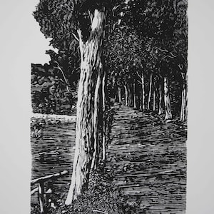 Alley. Linocut, original, hand-printed lino print, woodland landscape, woodland alley, relief print, limited edition.