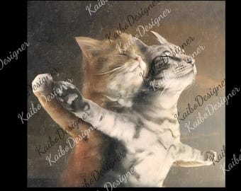 Vintage Wacky Cat png, Funny Cat Couple DIgital, Cute Cat png, Meme Cat png, 90s Style png, Cat Lover Gift, Gen Z png, Stupid Gift