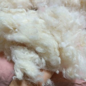 May include: Close-up of a pile of soft, fluffy, off-white wool fibres. The fibres are loosely packed, with a slightly textured appearance. The wool appears to be clean and ready for crafting projects.