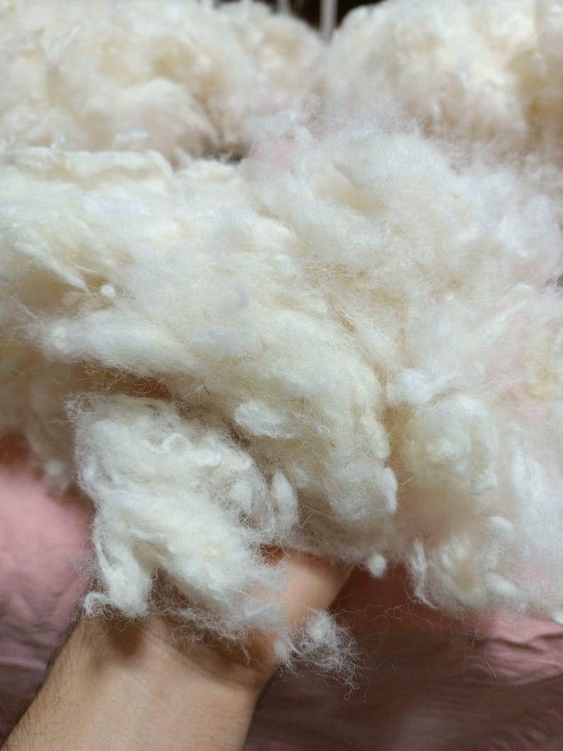 May include: Close-up of a pile of soft, fluffy, off-white wool fibres. The fibres are loosely packed, with a slightly textured appearance. The wool appears to be clean and ready for crafting projects.