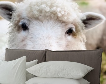 Organic Wool Pillow in American and Canadian Sizes,Wool Pillow,Organic wool pillow,Best Organic Cotton Pillow