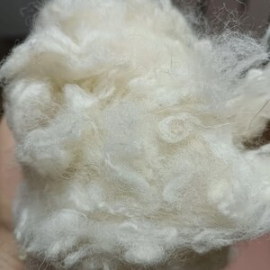 May include: Close-up of a mass of raw, unspun white wool fibres. The fibres are soft and fluffy, with a slightly irregular texture. The wool appears clean and ready for processing into yarn or other textile products.