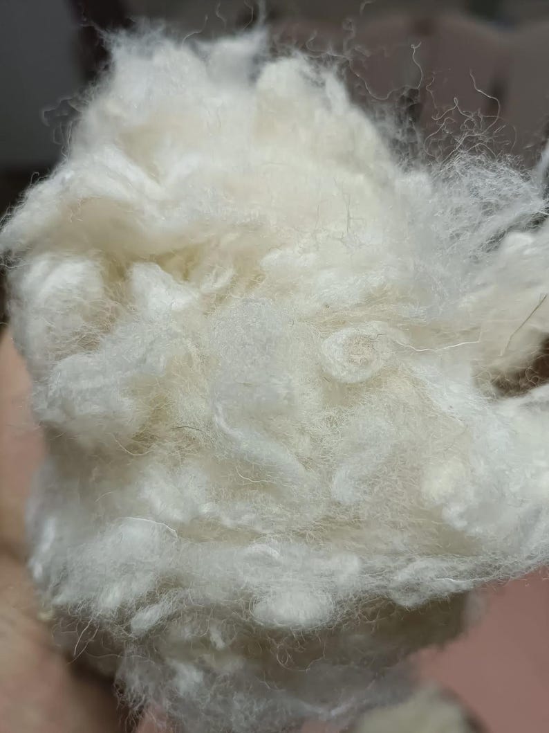 May include: Close-up of a mass of raw, unspun white wool fibres. The fibres are soft and fluffy, with a slightly irregular texture. The wool appears clean and ready for processing into yarn or other textile products.