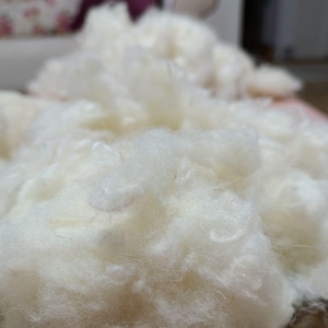 May include: Close-up of a pile of fluffy, off-white material. The texture appears soft and cloud-like, with visible strands and clumps. The material is likely a fiber or filling, possibly for crafts or upholstery.