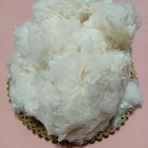 May include: A mass of soft, off-white fibre, possibly wool or cotton, rests on a decorative, gold-coloured plate with a scalloped edge. The fibre has a cloud-like appearance and a textured surface. The background is a plain, light pink surface.