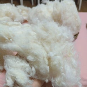 May include: A close-up shot of a collection of soft, off-white wool fibres. The fibres have a fluffy, cloud-like texture. The wool appears to be suitable for various craft or textile applications.