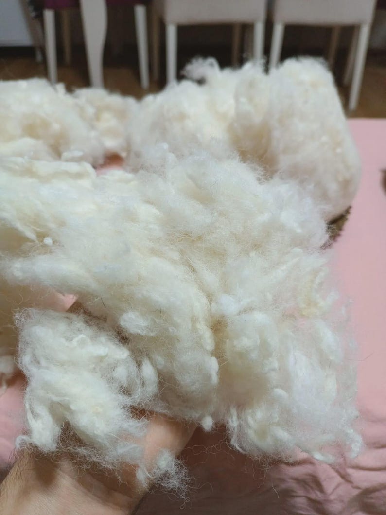 May include: A close-up shot of a collection of soft, off-white wool fibres. The fibres have a fluffy, cloud-like texture. The wool appears to be suitable for various craft or textile applications.