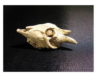 Pocket Goat dreadful invasive imaginary miniature species replica skull