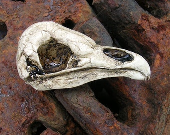 Barn Owl Skull Replica Catalyst Studios exclusive for display costume teaching