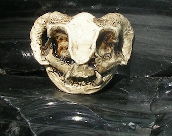 Goblin horned monster tiny fantasy replica skull