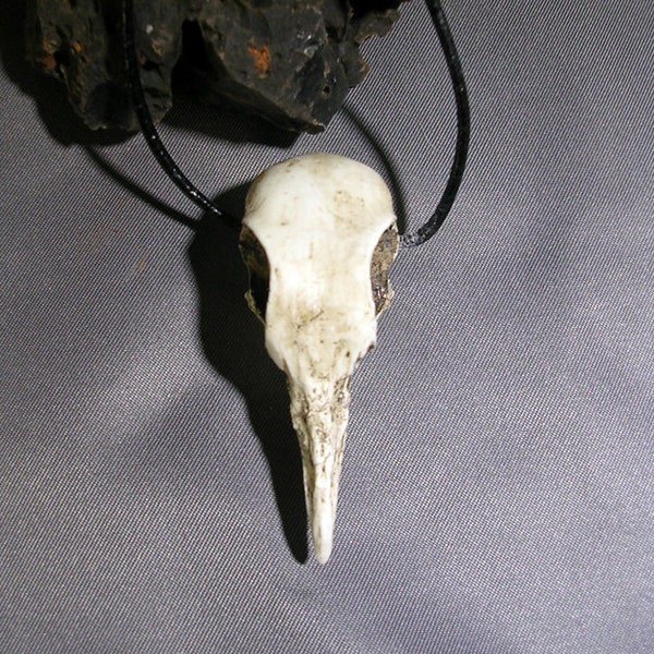 Pigeon Skull Replica necklace common American trash dove city chicken