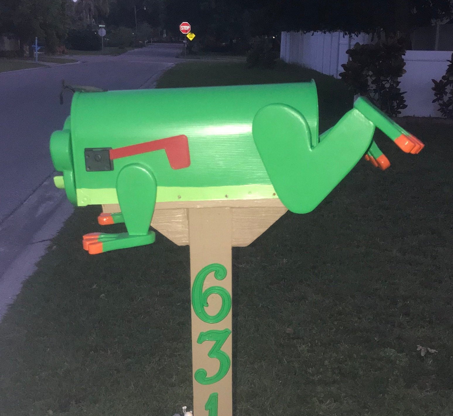 Tree Frog Custom Mailbox Animal Giftcrossknots Woodworking Etsy Canada