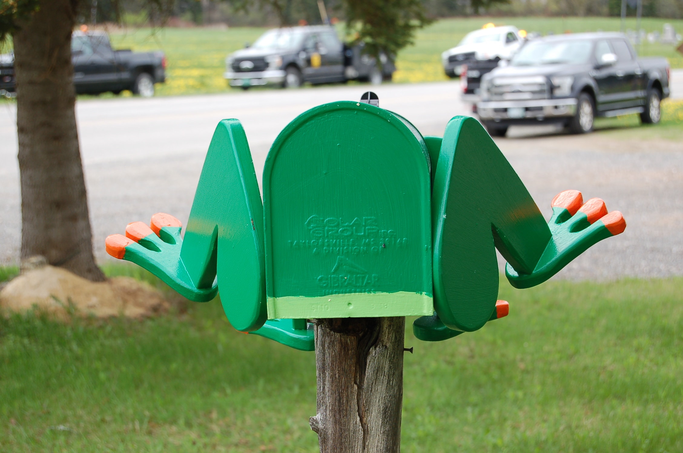 Tree Frog Custom Mailbox Animal Giftcrossknots Woodworking Etsy Canada