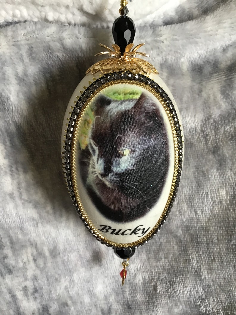 Custom Ornaments Goose Eggshell (pet)