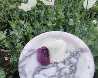Hand-Carved Calacatta Viola Marble Bowl: Violet Veined Jewelry Catchall