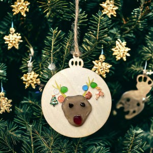 Ornament Seeglas, Ornamente Weihnachten Rentier, Seeglas Geschenk, Rentier, Weihnachtsbaum, Seaglass Ornaments, Seeglas Ornamente