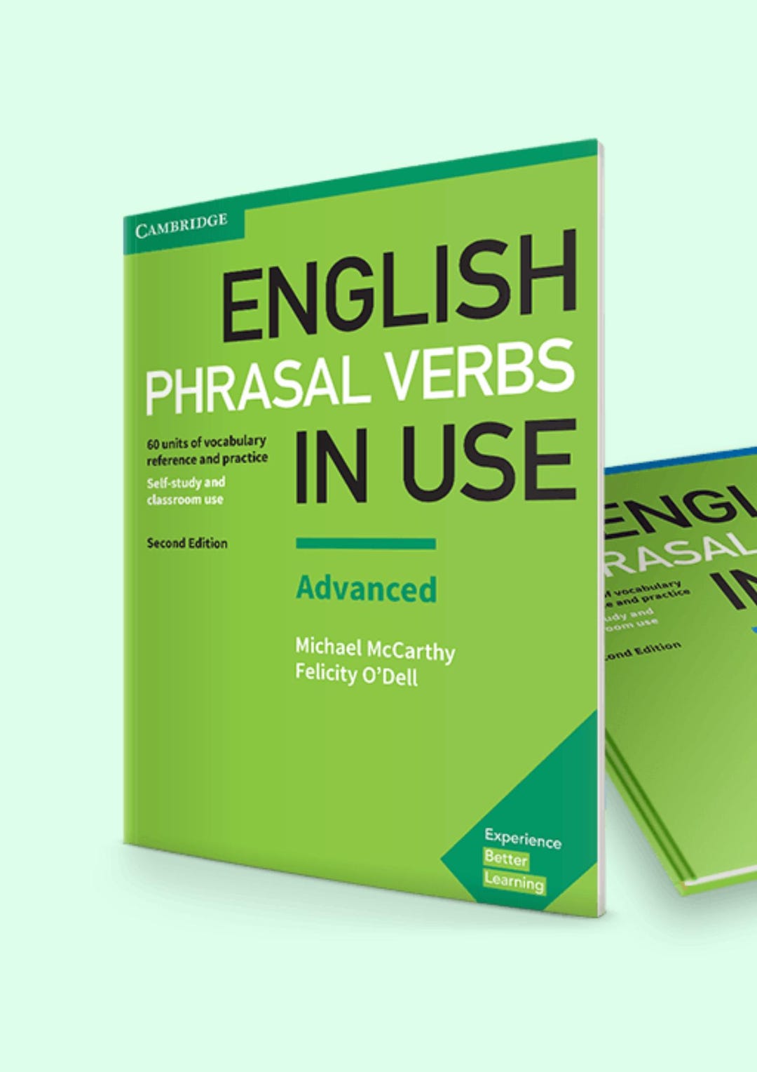 Phrasal Verbs In Use Advanced Pdf B2 C1 Vocabulary Practice A Self