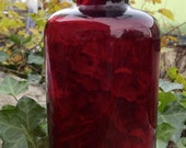 Ruby Red Silver Crest Art Glass Vase
